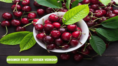 Brouwer Fruit - Kersen Verkoop