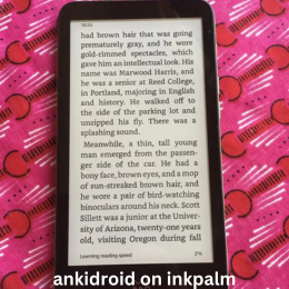 ankidroid on inkpalm