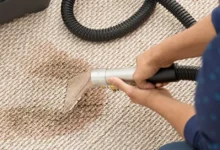 Revitalize Your Home with Expert Carpet Care