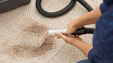 Revitalize Your Home with Expert Carpet Care