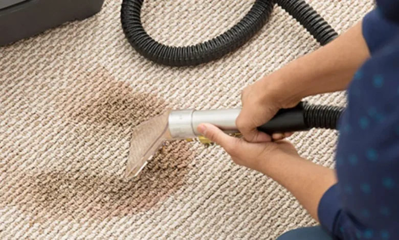 Revitalize Your Home with Expert Carpet Care